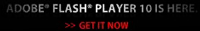 flash player